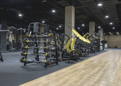 pesas ordenadas del gym