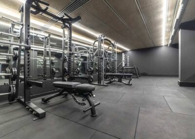 zona maquinas fuerza gimnasio