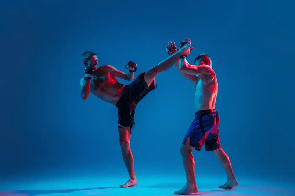 body combat dos luchadores profesionales